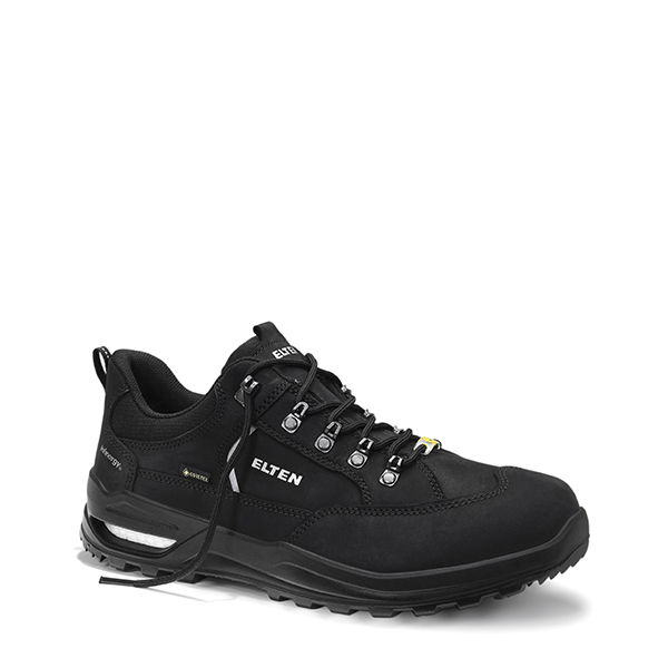 Berufshalbschuh RONAN XXF GTX black Low ESD O2 WR CI