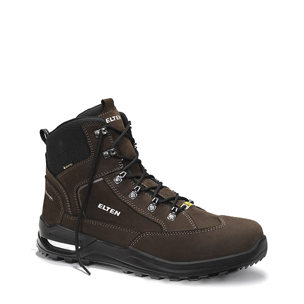 Berufshalbschuh RONAN XXF GTX brown Low ESD O2 WR CI